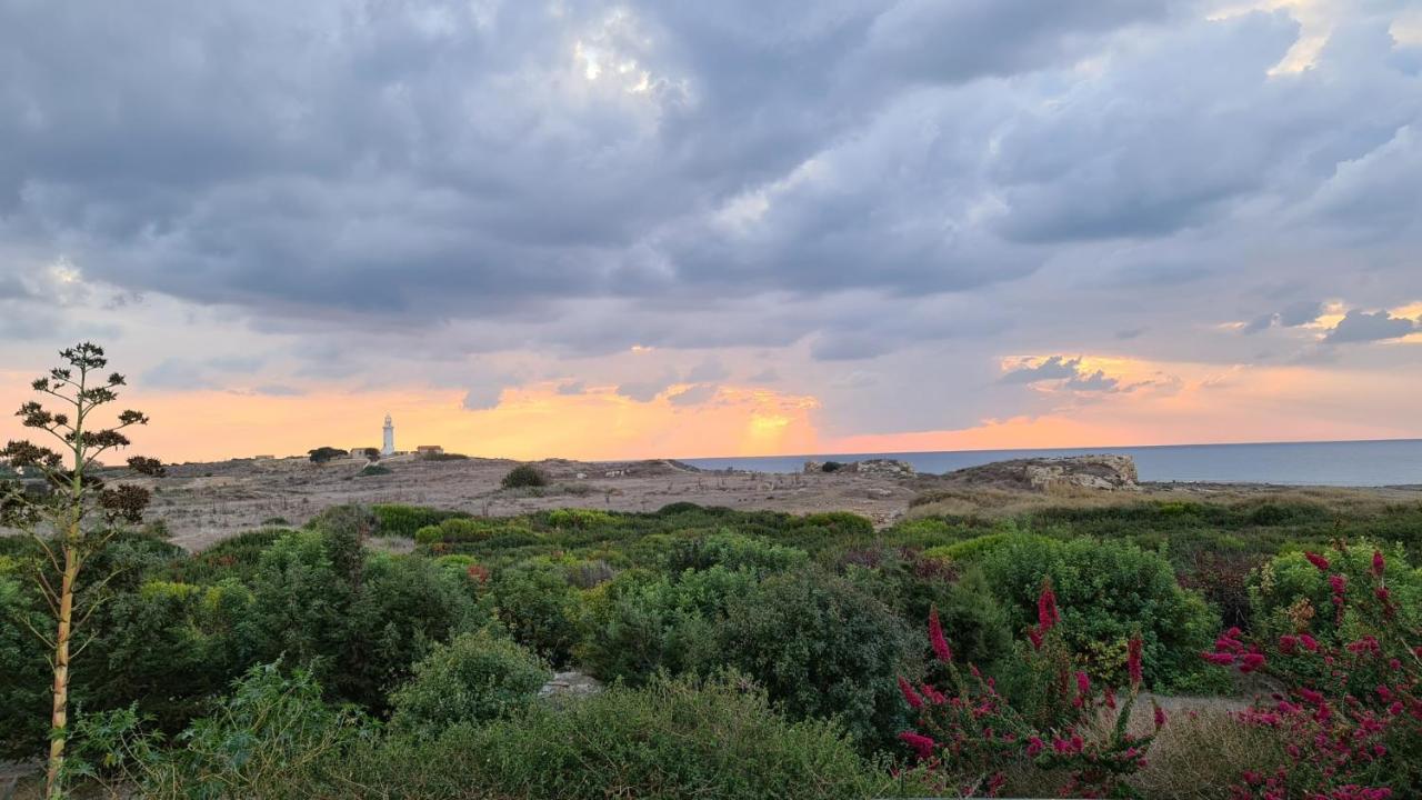 Phaedrus Living: Seaview Luxury Villa Venus Paphos Exteriör bild